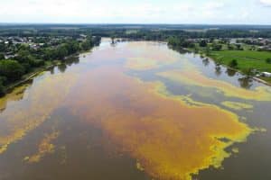 Cyanobactéries : les campings de Dordogne s'effondrent, baignade interdite