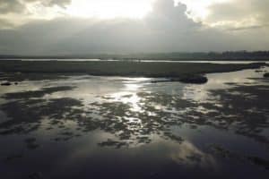 Festival Fleur de sel : l'île de Ré valorise ses traditions salicoles