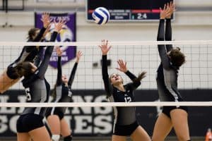 Volley Royan : les Pirates s'arment pour reconquérir la Ligue B