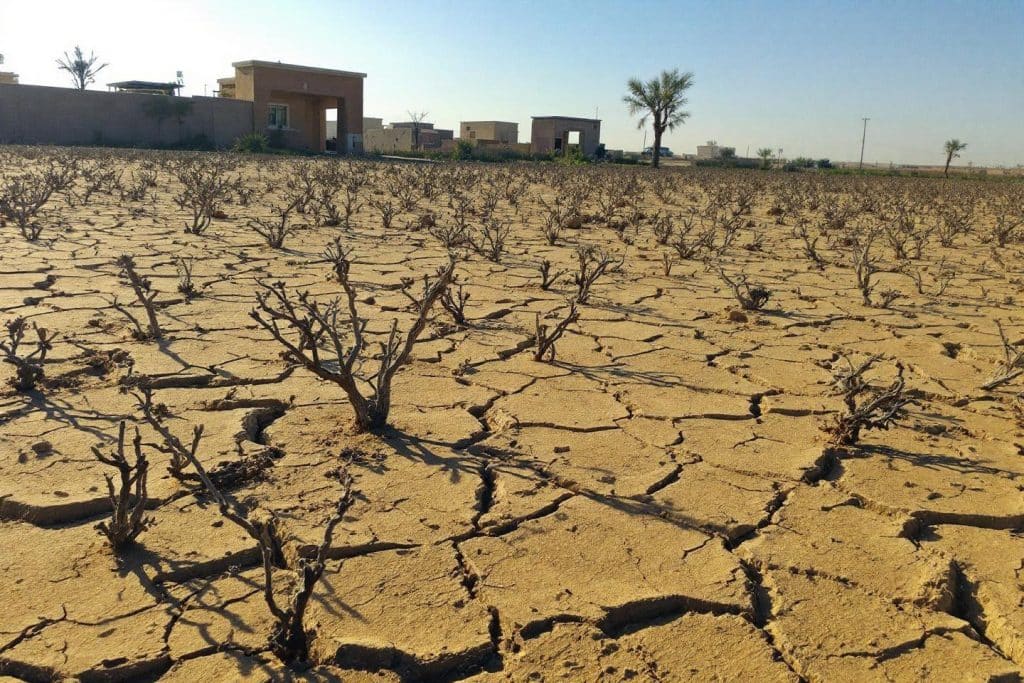 Sécheresse alarmante en Nouvelle-Aquitaine : 90% des nappes s'effondrent
