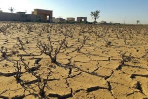 Sécheresse alarmante en Nouvelle-Aquitaine : 90% des nappes s'effondrent